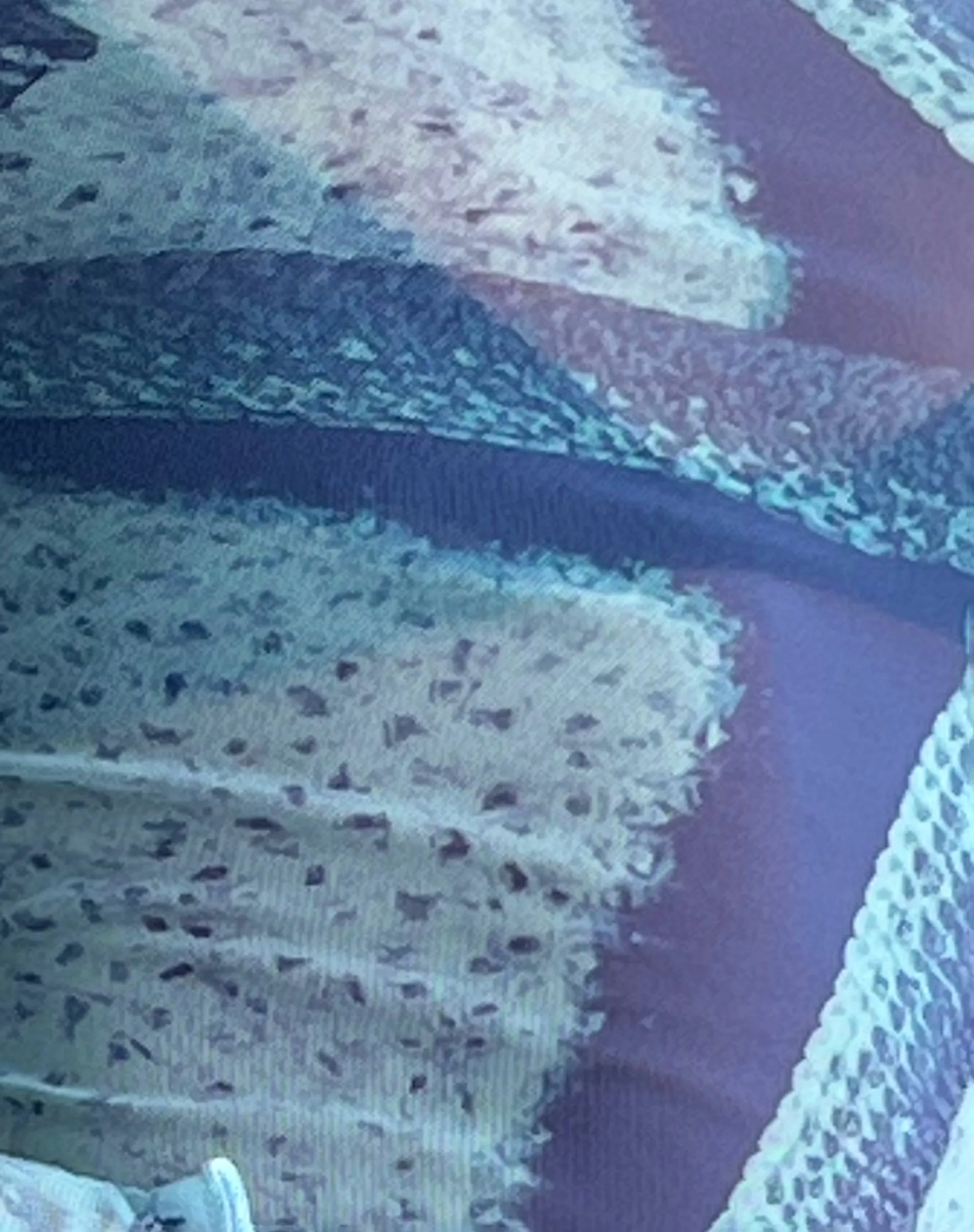 Anchi Mesh Long Sleeve Top in Blue Starfish Photoprint