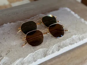 Berkeley Sunglasses