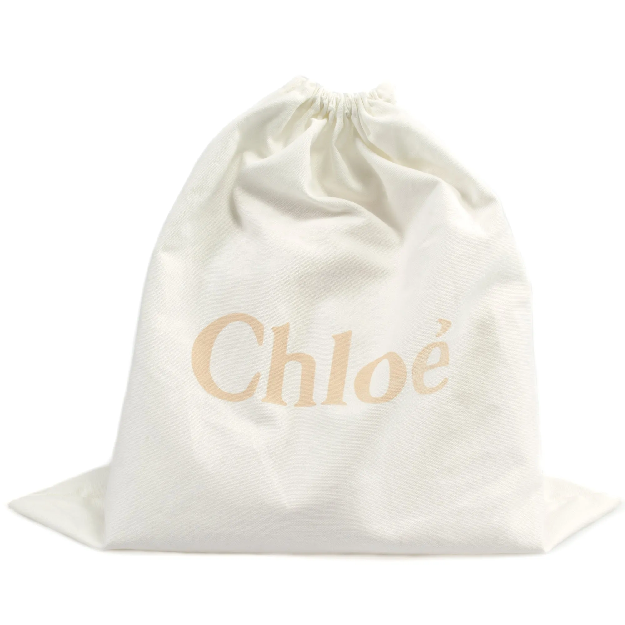 Chloe Drew Bag | Blue with Gold Hardware | Small