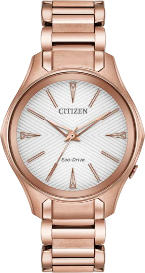 Citizen Eco Drive Modena Women's Watch EM0593-56A