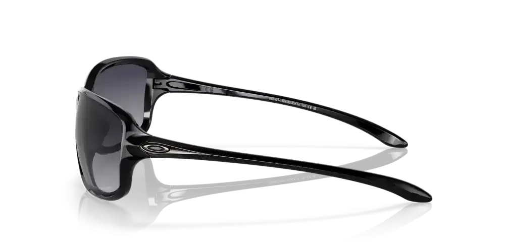Cohort Sunglasses