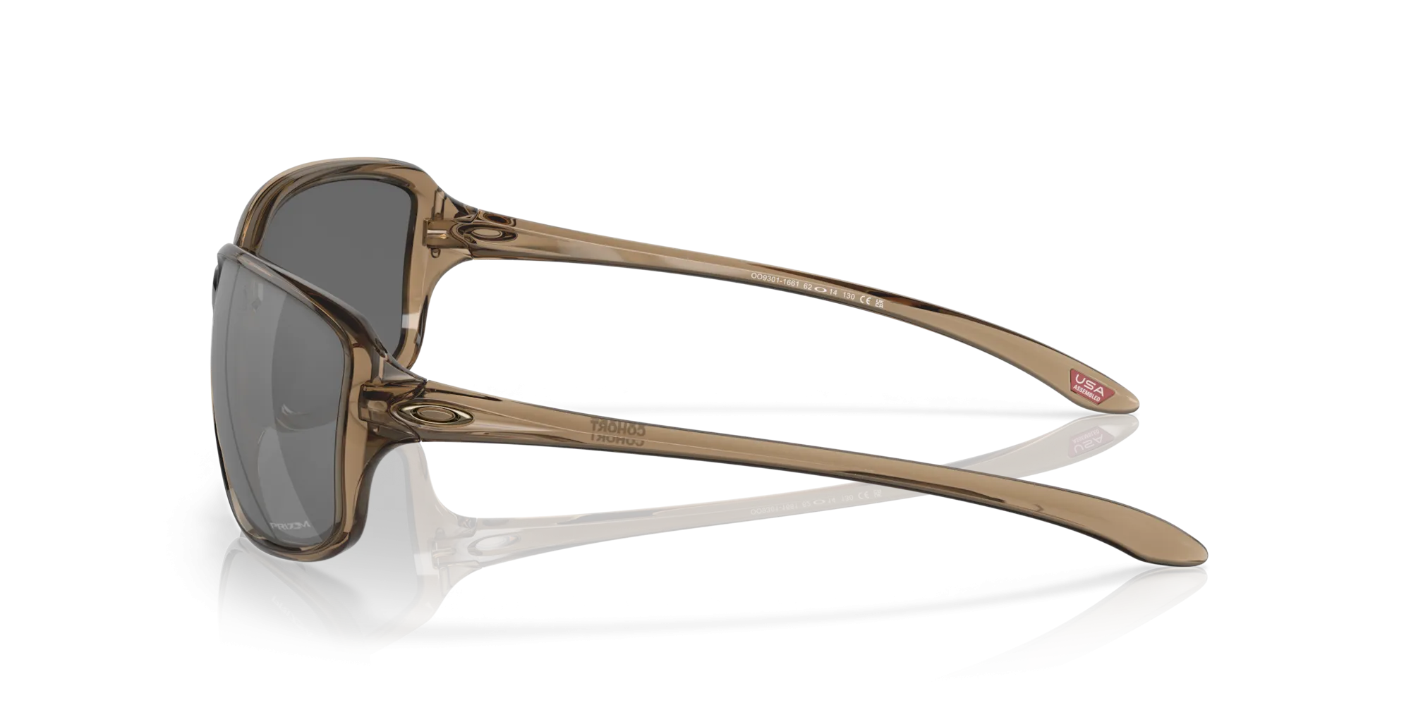 Cohort Sunglasses