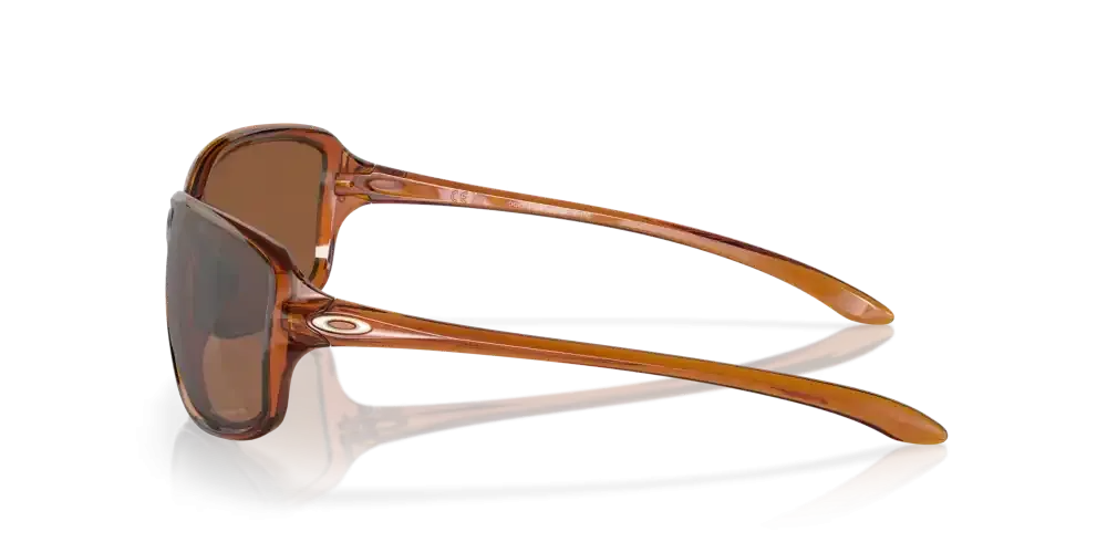Cohort Sunglasses