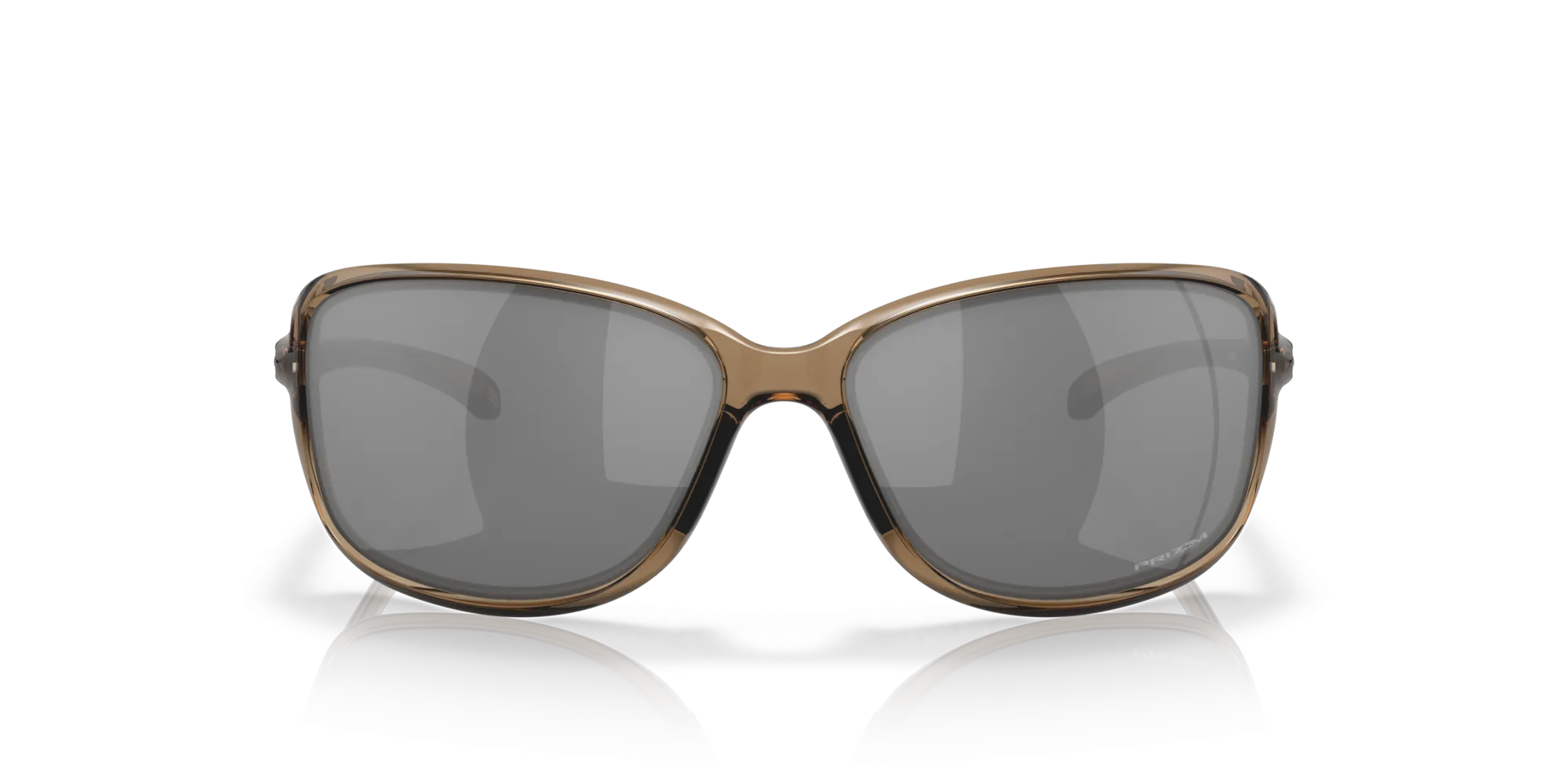 Cohort Sunglasses