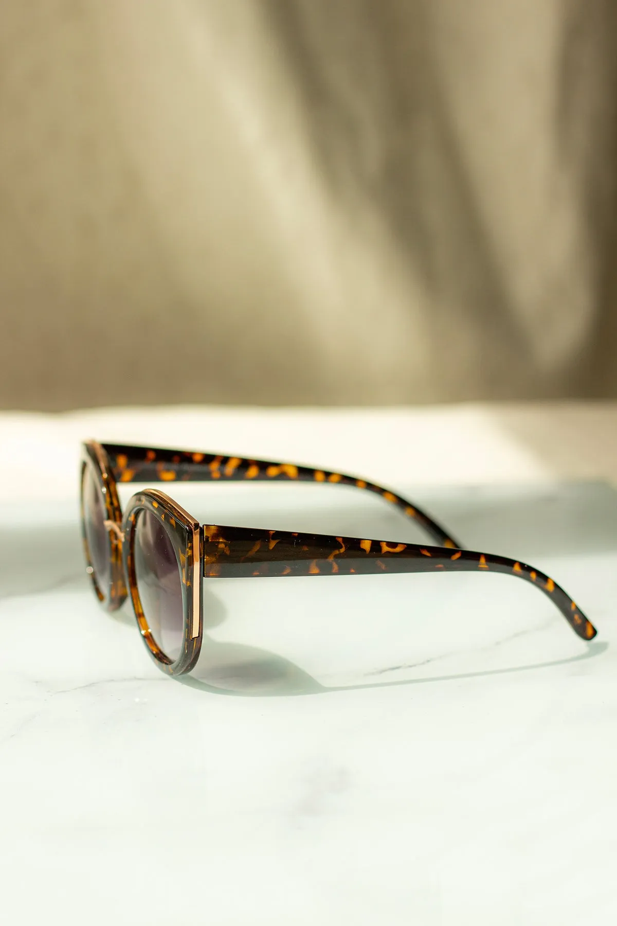 Gold Rim Cat Eye Sunglasses