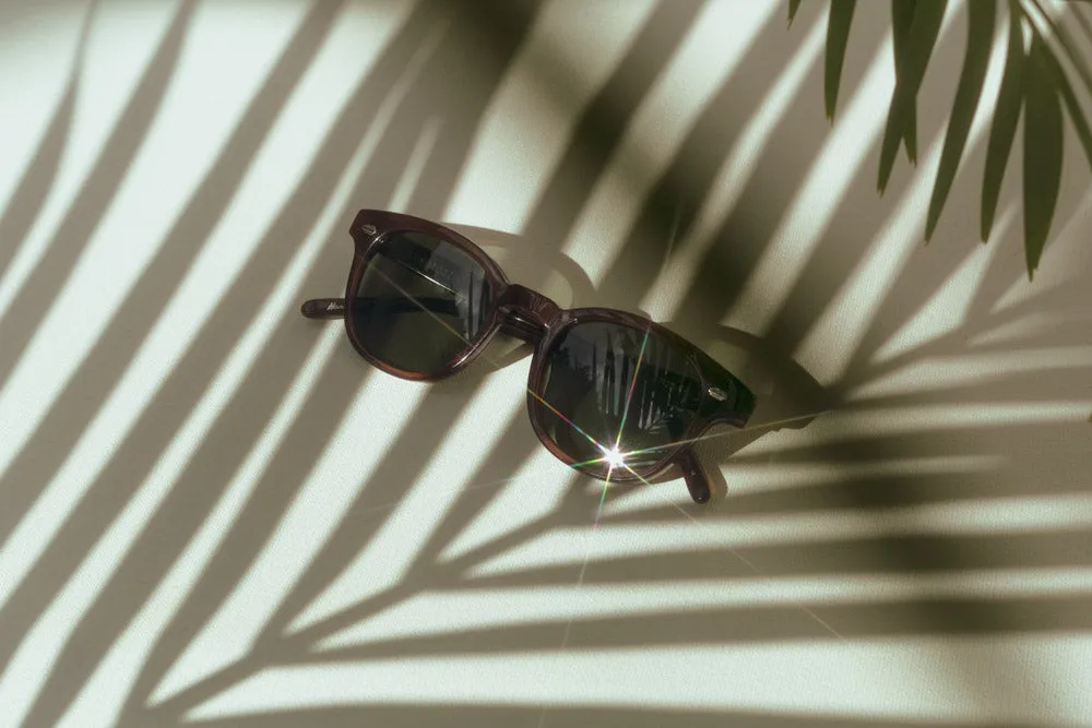 MM5: Mocha Polarized