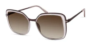 MODO Sunglasses 462
