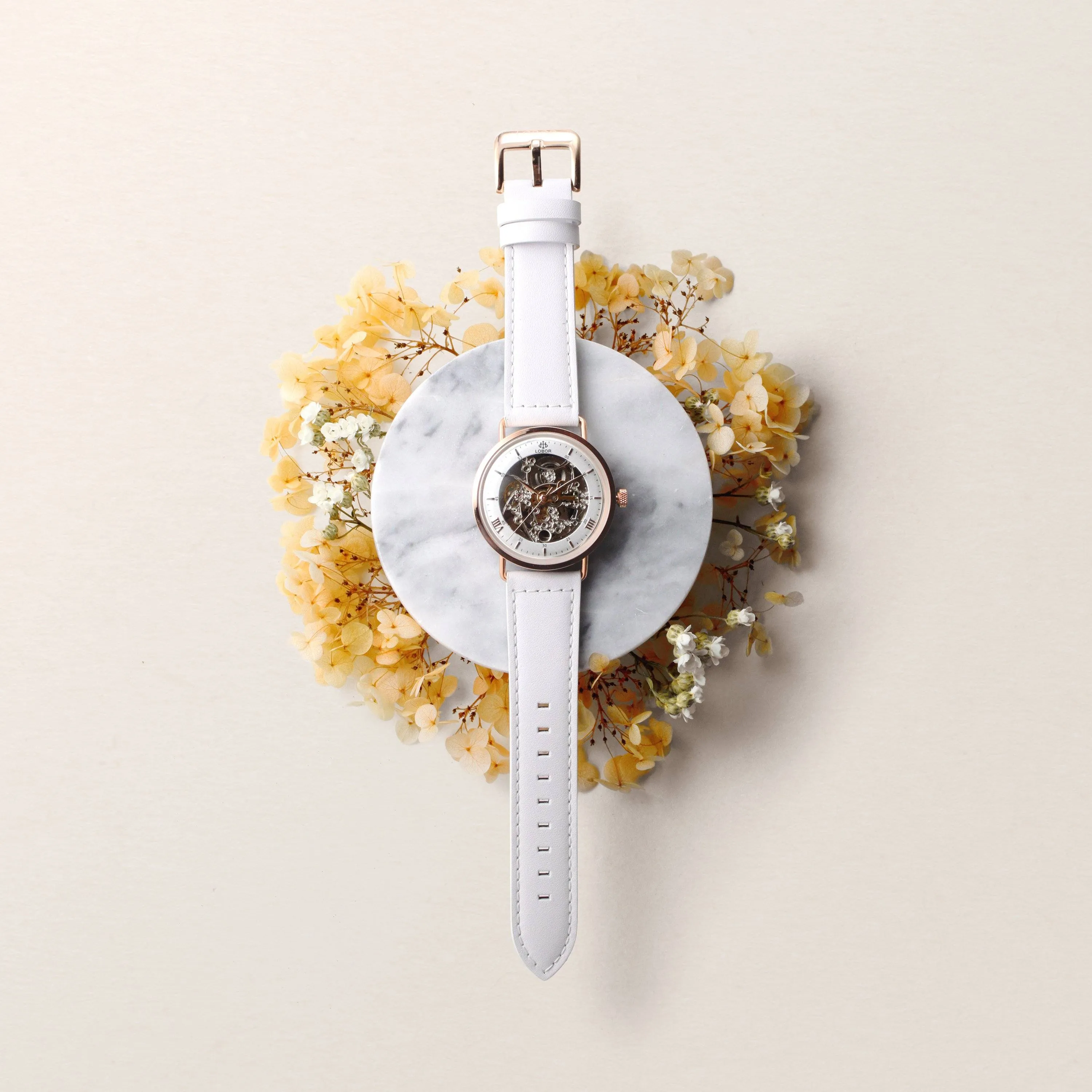 Planetarium Bowie White
