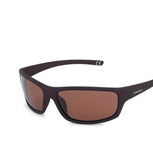 Polarized Sunglasses PL66