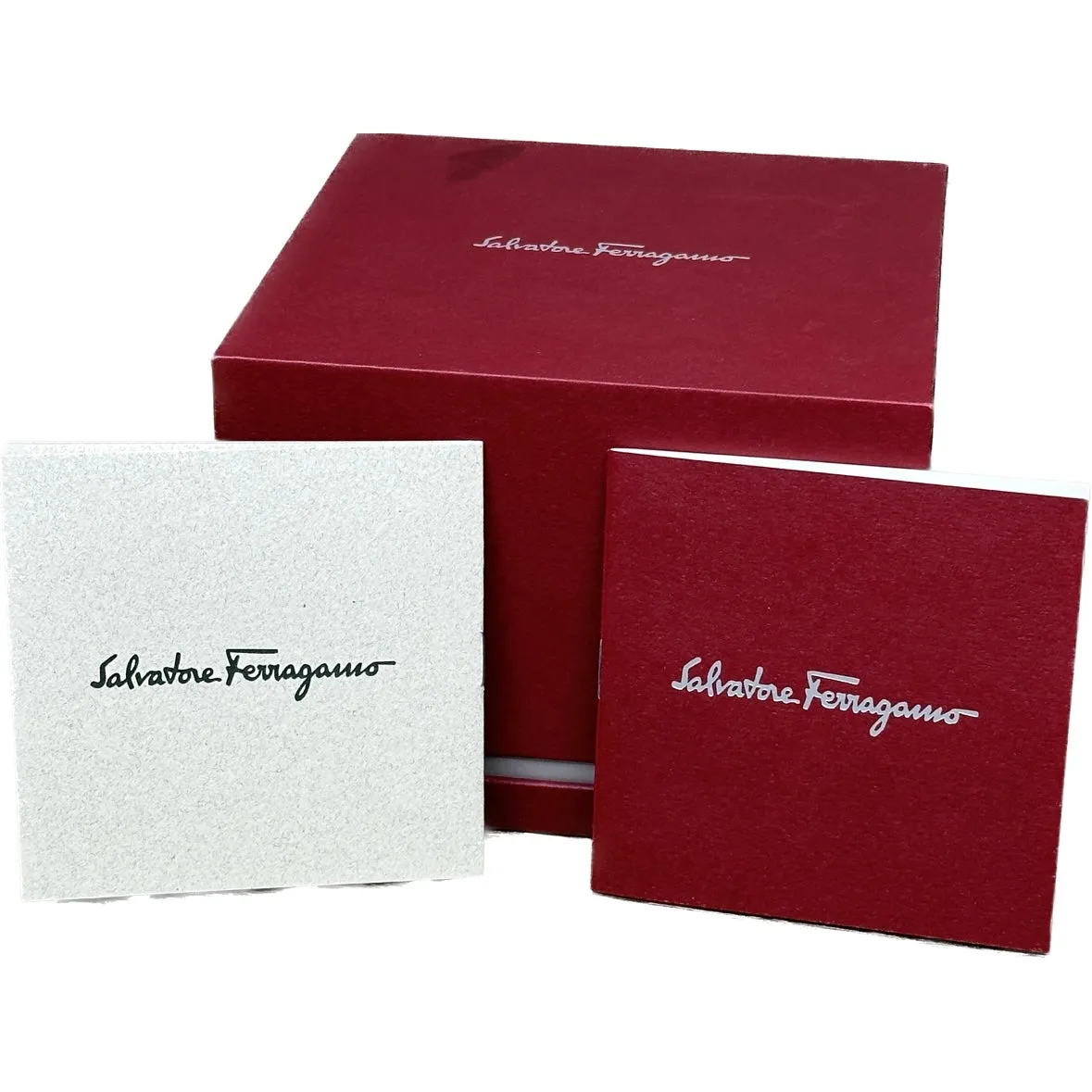 Salvatore Ferragamo F-80 Skeleton Limited Edition - Blue Strap